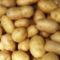 Зависимость урожая картофеля от погоды
